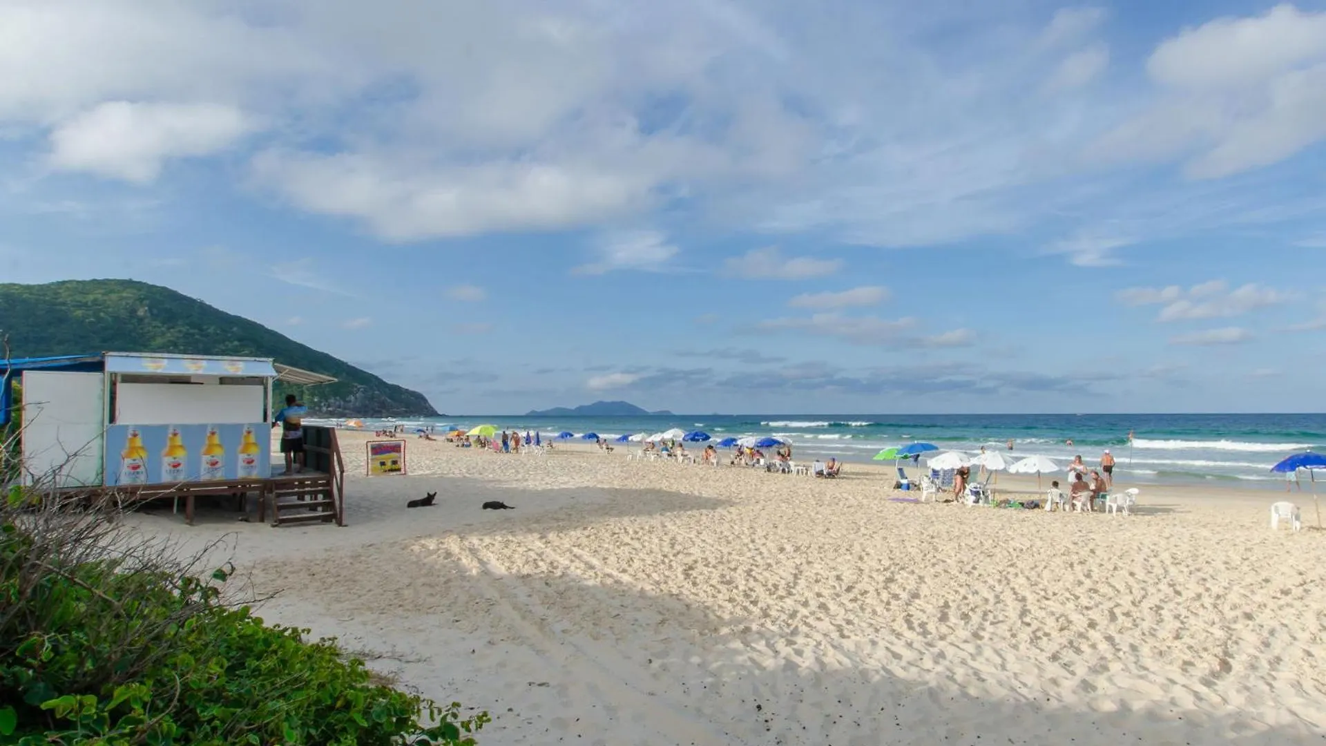 Daire Triplex Com Piscina A 450M Da Praia Dz0633 Florianópolis